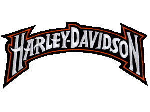 Harley Davidson 11.5 inch banner back patch